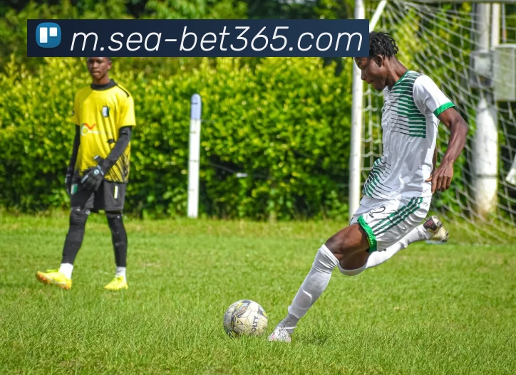 App Interface Preview